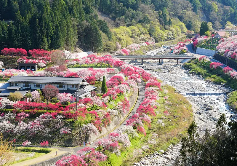 天空の楽園 ナイトツアー